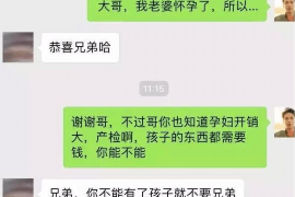 六枝为什么选择专业追讨公司来处理您的债务纠纷？